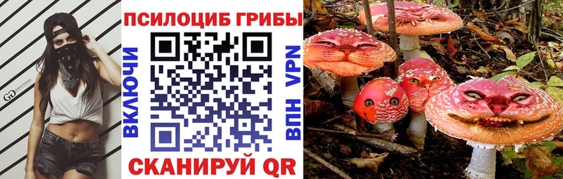 хочу   Котовск  нарко площадка наркотические препараты  Галлюциногенные грибы ЛСД 